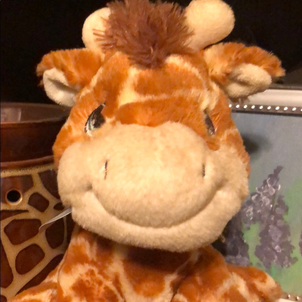 Meet your Posher, Gayle